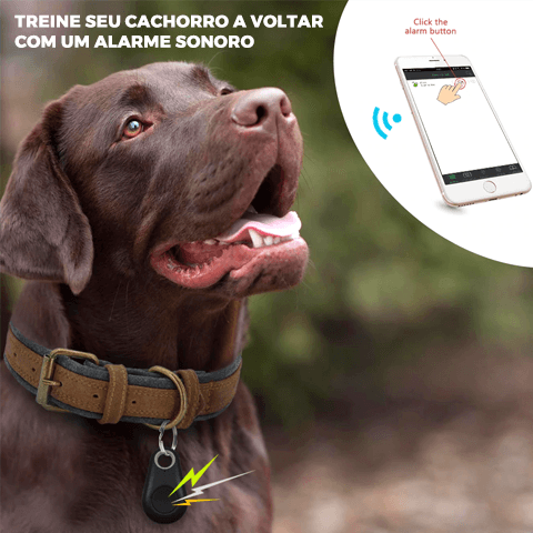 Localizador GPS para Cachorros e Gatos - Descontos Explosivos